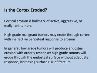 Is the Cortex Eroded?

Cortical erosion is hallmark of active, aggressive, or
malignant tumors.

High-grade malignant tumors may erode through cortex
with ineffective periosteal response to erosion

In general, low grade tumors will produce endosteal
erosion with orderly response; high grade tumors will
erode through the endosteal surface without adequate
response, increasing surface risk of fracture
 