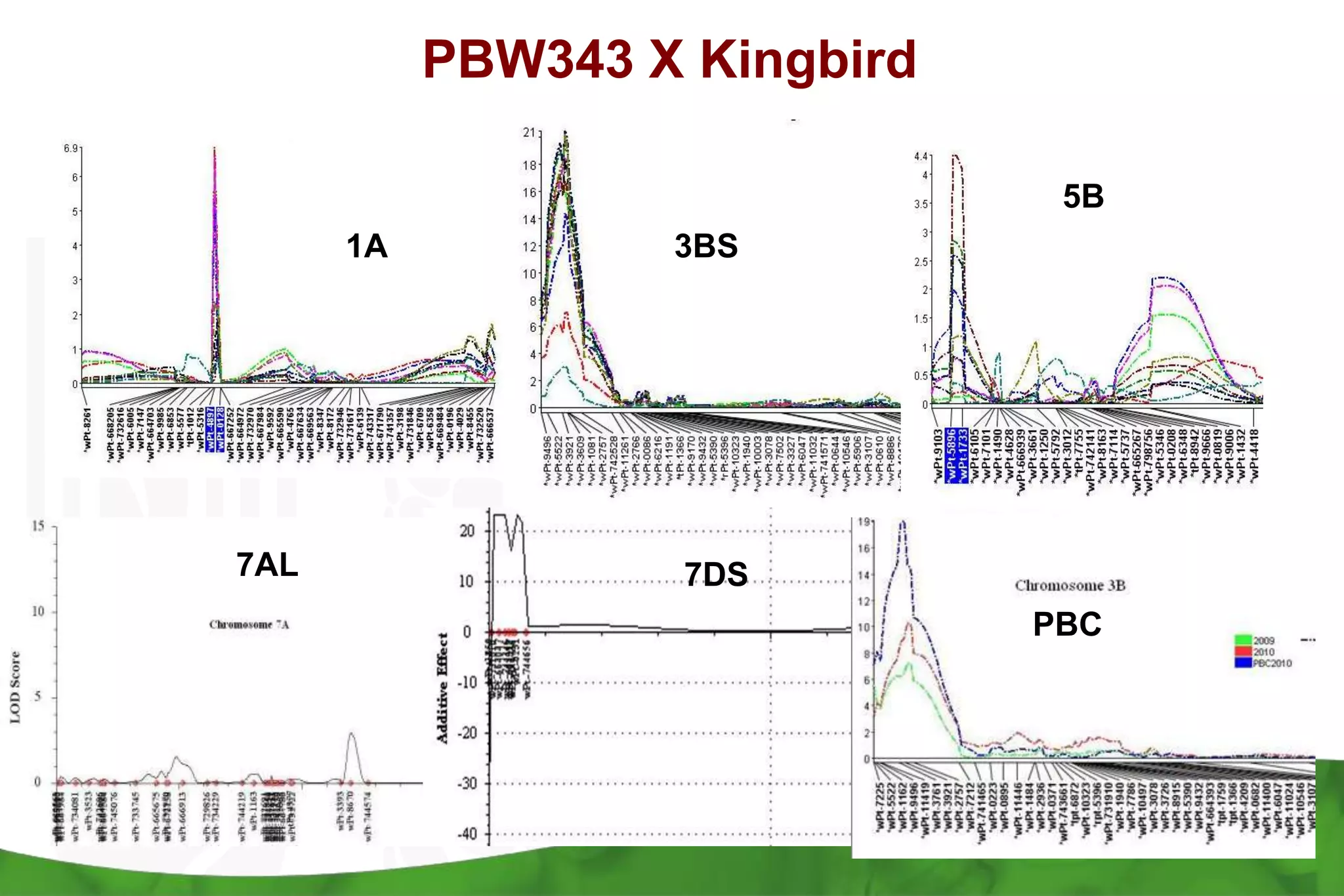 Sr2  still provides moderate levels of resistance in Kenya (~30% reduction in disease severity)