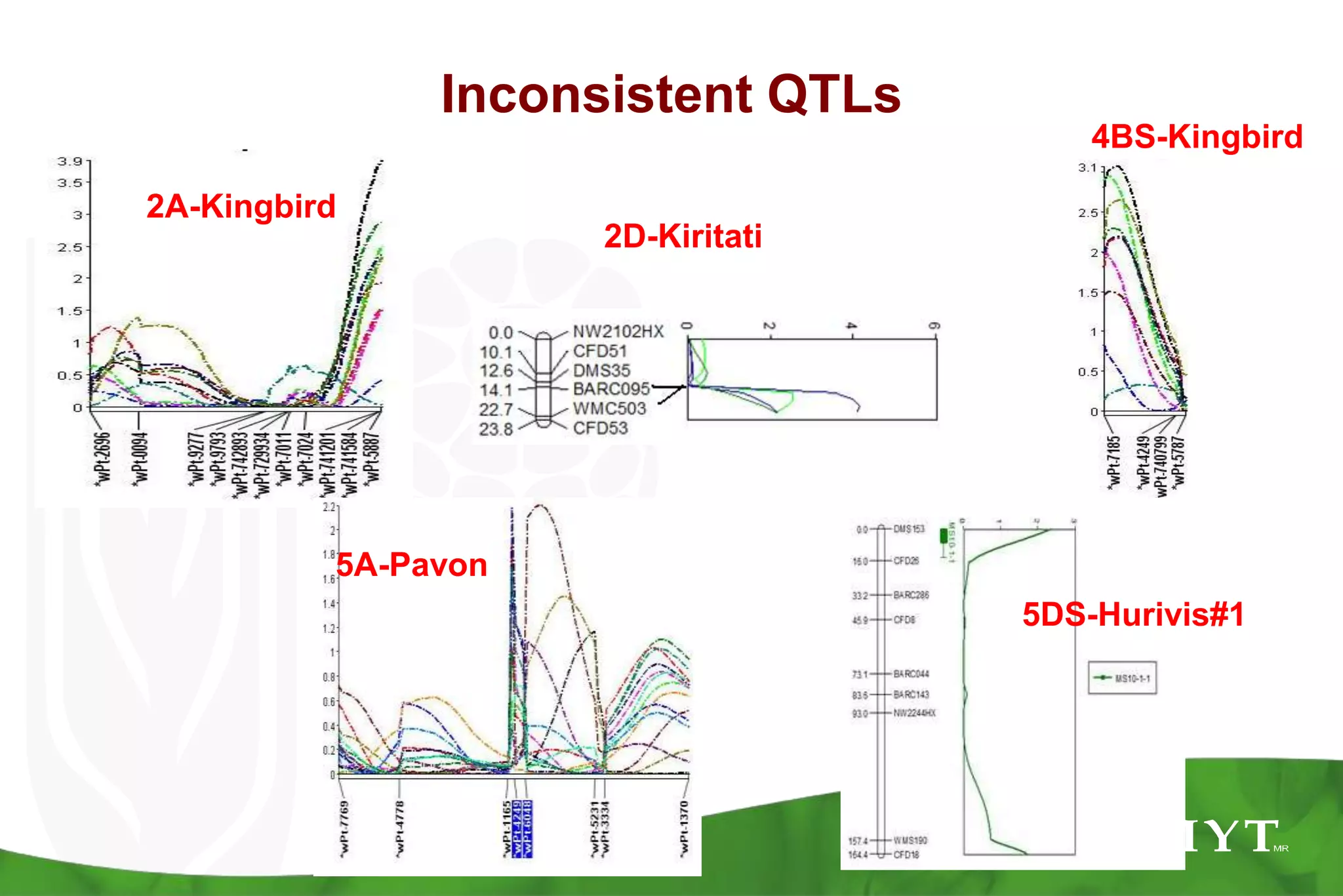 ICIM- http://www.isbreeding.net/