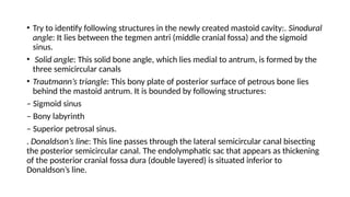 Trautsmann Triangle Comprehensive Overview of Ear Surgeries: Myringoplasty, Tympanoplasty ...