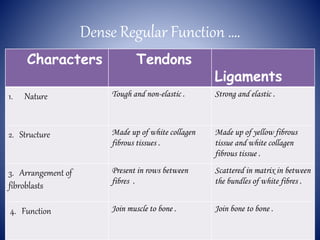Dense Regular Function ….
Characters Tendons
Ligaments
1. Nature Tough and non-elastic . Strong and elastic .
2. Structure Made up of white collagen
fibrous tissues .
Made up of yellow fibrous
tissue and white collagen
fibrous tissue .
3. Arrangement of
fibroblasts
Present in rows between
fibres .
Scattered in matrix in between
the bundles of white fibres .
4. Function Join muscle to bone . Join bone to bone .
 