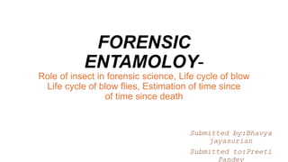 FORENSIC
ENTAMOLOY-
Role of insect in forensic science, Life cycle of blow
Life cycle of blow flies, Estimation of time since
of time since death
Submitted by:Bhavya
jayasurian
Submitted to:Preeti
Pandey
 