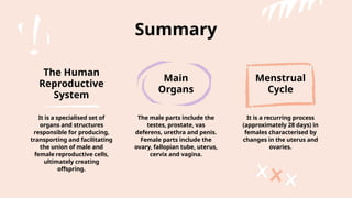 Human reproduction male and female reproductive system | PPTX