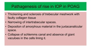 Pathagenesis of rise in IOP in POAG
• Thickening and sclerosis of trebecular meshwork with
faulty collagen tissue
• Narrowing of intertrabecular spaces.
• Depositon of amorphous material in the juxtacanalicular
space.
• Collapse of schlemms canal and absence of giant
vaculoes in the cells lining it.
 