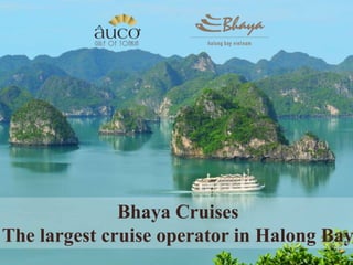 Bhaya Cruises
The largest cruise operator in Halong Bay

 