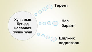 Хүн амын
бүтцэд
нөлөөлөх
хүчин зүйл
Төрөлт
Нас
баралт
Шилжих
хөдөлгөөн
 