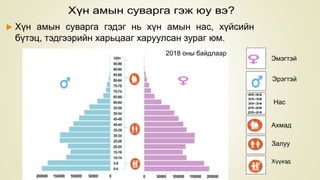 Эмэгтэй
Эрэгтэй
Нас
Залуу
Ахмад
 Хүн амын суварга гэдэг нь хүн амын нас, хүйсийн
бүтэц, тэдгээрийн харьцааг харуулсан зураг юм.
2018 оны байдлаар
 