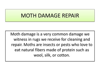 MOTH DAMAGE REPAIR
Moth damage is a very common damage we
witness in rugs we receive for cleaning and
repair. Moths are insects or pests who love to
eat natural fibers made of protein such as
wool, silk, or cotton.
