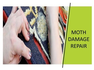 MOTH
DAMAGE
REPAIR