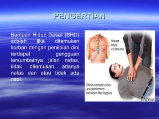 Bhd Rjp Panduan Lengkap Bantuan Hidup Dasar (BHD) dan Teknik RJP | PPT