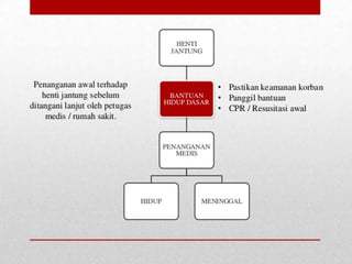 Ppt Rjp Panduan Lengkap Bantuan Hidup Dasar (BHD) dan Teknik RJP | PPT