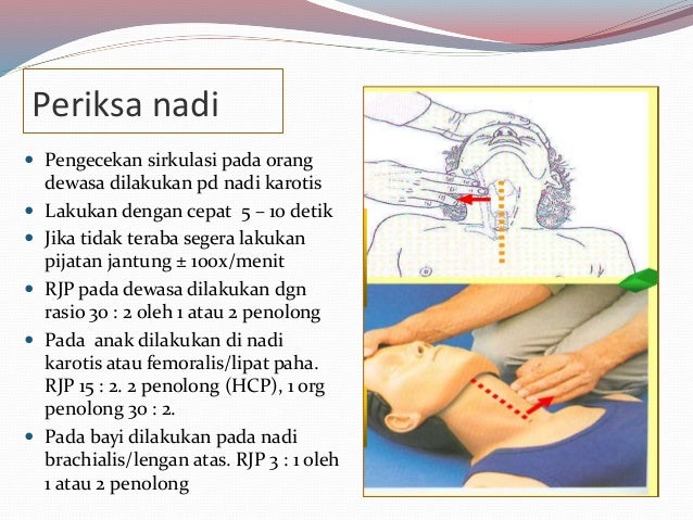 Bhd algoritma revisi