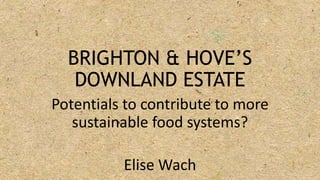 BRIGHTON & HOVE’S
DOWNLAND ESTATE
Potentials to contribute to more
sustainable food systems?
Elise Wach
 