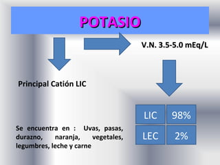 POTASIO
                                      V.N. 3.5-5.0 mEq/L



Principal Catión LIC


                                      LIC     98%
Se encuentra en : Uvas, pasas,
durazno,    naranja,     vegetales,   LEC     2%
legumbres, leche y carne
 