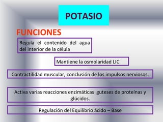 POTASIO
  FUNCIONES
   Regula el contenido del agua
   del interior de la célula

                    Mantiene la osmolaridad LIC

Contractilidad muscular, conclusión de los impulsos nerviosos.


 Activa varias reacciones enzimáticas guteses de proteínas y
                           glúcidos.

            Regulación del Equilibrio ácido – Base
 