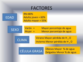 FACTORES
          RN=80%
EDAD      Adulto joven = 60%
          Adulto mayor = 55%

           Varón =       Mayor porcentaje de agua
  SEXO     Mujer =       Menor porcentaje de agua

                     Verano Mayor pérdida de H 2 O
       CLIMA         Invierno Menor pérdida de H 2 O

                             Obesos Mayor % de agua
         CÉLULA GRASA        Delgados Menor % de agua
 