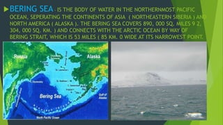 BERING SEA - IS THE BODY OF WATER IN THE NORTHERNMOST PACIFIC 
OCEAN, SEPERATING THE CONTINENTS OF ASIA ( NORTHEASTERN SIBERIA ) AND 
NORTH AMERICA ( ALASKA ). THE BERING SEA COVERS 890, 000 SQ. MILES 9 2, 
304, 000 SQ. KM. ) AND CONNECTS WITH THE ARCTIC OCEAN BY WAY OF 
BERING STRAIT, WHICH IS 53 MILES ( 85 KM. 0 WIDE AT ITS NARROWEST POINT. 
 