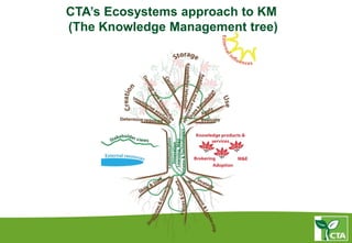 CTA’s Ecosystems approach to KM
(The Knowledge Management tree)
 