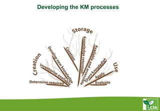 Developing the KM processes
 