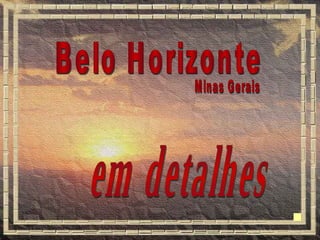 Belo Horizonte Minas Gerais em detalhes 