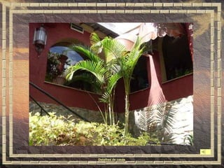 Detalhes de casas 