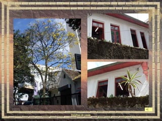 Detalhes de casas 