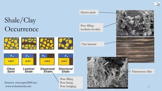 46
Shale/Clay
Occurrence
Pore filling
Pore lining
Pore bridging
Pore filling
kaolinite booklet
Clay laminae
Quartz grain
Filamentous illite
Sources: www.spec2000.net
www.webmineral.com
 