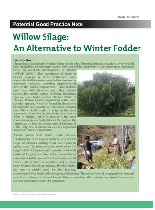 Code: BHGP13

    Potential Good Practice Note

    Willow Silage:
    An Alternative to Winter Fodder
    Introduction
    Bhutan has a traditional farming system within which livestock production plays a very crucial
    role. Availability of adequate quality feed and fodder, therefore, is the single most important
    factor in livestock development in Bhutan
    (NFFDP1 2006) The importance of trees as
    fodder sources is well established, and,
    especially for Bhutanese, tree fodder remains an
    important resource, providing approximately
    20% of the fodder requirement. Tree fodders
    used vary with elevation and other climatic
    factors, but mostly consist of Ficus, Bambusa,
    Quercus and Salix species (Roder 1992). In
    Bhutan, Willow (Salix babylonica) is the most
    popular species, which is found in abundance
    throughout the country at elevations ranging
    from 800 to 3,000 masl. It is by far the most
    important tree fodder species at elevations above
    2,500 m (Roder 1981). In fact, it is the most
    common species in high altitudes throughout the
    Himalayas. In Leh, an Indian state of Kashmir, it
    is the only tree available and a very important
    source of fodder for ruminants.
    Willow grows well under harsh climatic
    condition and even in poor soil type over a wide
    range of altitudes starting from sub-tropics to
    alpine areas. The plant normally grows up to the
    height of 8 – 12 meters and branches well with
    clustered long leaves. One of the reasons for its
    selection as fodder tree is that it can survive well
    under both dry and wet conditions and produce
    more biomass for silage making. Beside fodder,
    the tree is widely used for live fencing,
    protection of river bank and preventing soil erosion. The easiest way of propagation is through
    semi hard cuttings of desired length. Prior to planting, the cuttings are dipped in water to
    prevent desiccation under dry condition.


1
    National Feed and Fodder Development Programme
 