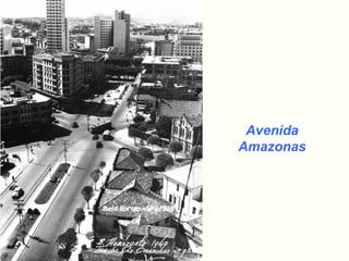 Avenida
Amazonas
 