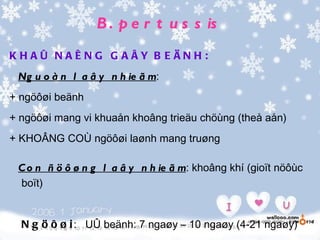 B . p e r t u s s is
K H AÛ N AÊ N G G AÂY B E ÄN H :
 Ng u o à n l a â y n h ie ã m:
+ ngöôøi beänh
+ ngöôøi mang vi khuaån khoâng trieäu chöùng (theå aån)
+ KHOÂNG COÙ ngöôøi laønh mang truøng

 C o n ñ ö ô ø n g l a â y n h ie ã m: khoâng khí (gioït nöôùc
 boït)


  N g ö ô ø i : UÛ beänh: 7 ngaøy – 10 ngaøy (4-21 ngaøy)
 