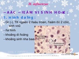 H. influenzae

Ñ A Ë C Ñ IE Å M V I S IN H H O Ï :
                                C
1. H ì n h d a ï n g :
- Gr (-), TK ngaén 2 ñaàu troøn, ñaäm ôû 2 cöïc,
    sinh voû
- ña hình
- khoâng di ñoäng
- khoâng sinh nha baøo
 