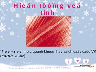 H ie ä n t ö ô ïn g v e ä
                 t in h




f l u e n z a e moïc quanh khuùm hay vaïch caáy caùc VK
hylococcus aureus)
 