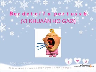 B o r d e t e l l a p e r t u s s is
     (VI KHUAÅN HO GAØ)
 