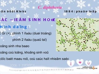 C. diphtheria
e ä n b ô û i K le b s                     18 8 4 : p h a â n l a ä p


A Ë C Ñ IE Å M S IN H H O Ï :
                          C
 H ìn h d a ïn g :
K Gr (+), phình 1 ñaàu (duøi troáng)
          phình 2 ñaàu (quaû taï)
hoâng sinh nha baøo
hoâng coù loâng, khoâng sinh voû
cöïc baét maøu roõ, coù caùc haït nhieãm saéc
 