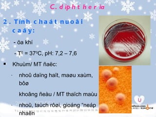 C . d ip h t h e r ia

2 . T ín h c h a á t n u o â i
    c a á y:
        - öa khí
        - T0 = 370C, pH: 7,2 – 7,6
       Khuùm/ MT ñaëc:
    -     nhoû daïng haït, maøu xaùm,
          bôø
          khoâng ñeàu / MT thaïch maùu
    -     nhoû, taùch rôøi, gioáng “neáp
          nhaên
 