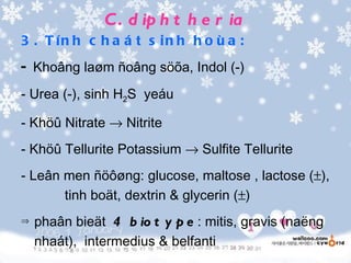 C . d ip h t h e r ia
3 . T ín h c h a á t s in h h o ù a :
- Khoâng laøm ñoâng söõa, Indol (-)
- Urea (-), sinh H2S yeáu

- Khöû Nitrate → Nitrite
- Khöû Tellurite Potassium → Sulfite Tellurite
- Leân men ñöôøng: glucose, maltose , lactose (±),
       tinh boät, dextrin & glycerin (±)
⇒   phaân bieät 4 b io t y p e : mitis, gravis (naëng
    nhaát), intermedius & belfanti
 