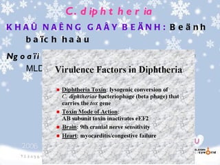 C . d ip h t h e r ia
K HAÛ N AÊ NG G AÂY B E ÄN H: B e ä nh
   b a ïc h h a à u
Ng o a ï i ñ o ä c t o á ma ï n h : 1mg chöùa 1000
     MLD → ñoäc löïc VK
 