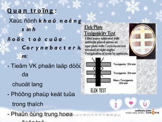 Q u a n t r o ïn g :
Xaùc ñònh k h a û n a ê n g
    s in h
ñoäc t oá c uûa
   C o r y n e b a c t e r iu
   m:
- Tieâm VK phaân laäp döôùi
      da
 chuoät lang
- Phöông phaùp keát tuûa
 trong thaïch
- Phaûn öùng trung hoøa
 