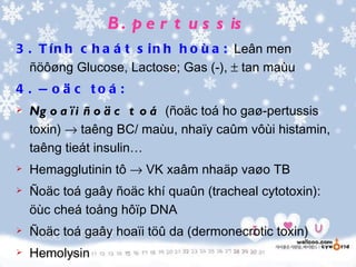 B . p e r t u s s is
3 . T í n h c h a á t s i n h h o ù a : Leân men
  ñöôøng Glucose, Lactose; Gas (-), ± tan maùu
4 . Ñ o ä c to á :
   Ng o a ï i ñ o ä c t o á (ñoäc toá ho gaø-pertussis
    toxin) → taêng BC/ maùu, nhaïy caûm vôùi histamin,
    taêng tieát insulin…
   Hemagglutinin tô → VK xaâm nhaäp vaøo TB
   Ñoäc toá gaây ñoäc khí quaûn (tracheal cytotoxin):
    öùc cheá toång hôïp DNA
   Ñoäc toá gaây hoaïi töû da (dermonecrotic toxin)
   Hemolysin
 
