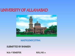 MASTIGOMYCOTINA
UNIVERSITY OF ALLAHABAD
SUBMITTEDBY BHIMSEN
M.Sc 1st SEMESTER ROLLNO. 11
 