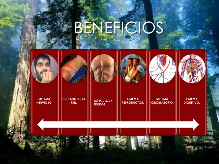 bHIP Opor. Neg. Pres. profesional octubre. bHIP Opor. Neg. Pres. profesional octubre.