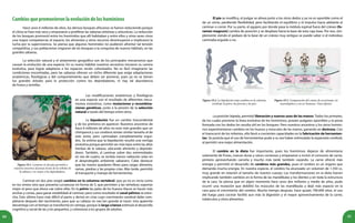 8180
Cambiosquepromovieronlaevolucióndeloshomininos
	 Hace unos 6 millones de años, los densos bosques africanos se fueron reduciendo porque
el clima se hizo más seco y empezaron a proliferar las sabanas arbóreas y arbustivas. La reducción
de los bosques promovió entre los homínidos que allí habitaban y entre ellos y otros seres vivos
una mayor competencia: el espacio, los alimentos y otros recursos disminuyeron e implicaron la
lucha por la supervivencia. Se piensa que algunos homínidos no pudieron afrontar tal tensión
competitiva, y sus poblaciones migraron de los bosques a la conquista de nuevos hábitats, en las
grandes sabanas.
	 La selección natural y el aislamiento geográfico son de los principales mecanismos que
causan la evolución de una especie. En su nuevo hábitat nuestros ancestros iniciaron su carrera
evolutiva, para lograr adaptarse a los espacios recién colonizados. No es fácil imaginarse las
condiciones encontradas, pero las sabanas ofrecen un nicho diferente que exige adaptaciones
anatómicas, fisiológicas y del comportamiento que deben ser pioneras, pues ya no se tienen
los grandes árboles para la protección contra los depredadores, ni hay tal abundancia
de frutos y semillas.
	 Las modificaciones anatómicas y fisiológicas
en una especie son el resultado de diferentes meca-
nismos evolutivos, como mutaciones y recombina-
ciones genéticas, junto a la presión de la selección
natural a través del tiempo entre otros.
	La bipedación fue un cambio trascendental
y de los primeros en aparecer. Nuestros ancestros de
hace 6 millones de años no eran más grandes que un
chimpancé y sus cerebros tenían similar tamaño al de
este simio, pero caminaban completamente ergui-
dos. Se estima que la bipedación resultó una ventaja
evolutiva porque permitió ver más lejos entre las altas
hierbas de la sabana, ubicando alimento y depreda-
dores. También, al caminar sobre dos extremidades
en vez de cuatro, se recibía menor radiación solar en
el desprotegido ambiente sabanero. Cabe destacar
que las manos quedaron libres para cargar alimento,
ramas, piedras y las propias crías. Más tarde, permitió
el transporte y manejo de herramientas.
Figura 19.1. Caminar en dos pies permitió a
nuestros ancestros alcanzar frutos de los árboles de
la sabana y ver mejor a los depredadores.
	 Caminar en dos pies exigió cambios en la columna vertebral, que ya no es recta como
en los simios sino que presenta curvaturas en forma de S, que permiten a las vértebras soportar
mejor el peso que ahora cae sobre ellas. En la pelvis las palas de los huesos ilíacos se hacen más
anchas y cortas, para ganar estabilidad al caminar, pero como resultado el canal pélvico se estre-
cha. Esto último hace más difícil el parto y derivó en crías cuyo crecimiento cerebral debe com-
pletarse después del nacimiento, para que su cabeza no sea tan grande al nacer. Una aparente
desventaja con el tiempo se transformó en ventaja, porque la larga crianza estimula el desarrollo
cognitivo y social de las y los pequeños, y cohesiona a los grupos de adultos.
	 El pie se modifica, el pulgar se alinea junto a los otros dedos y ya no es oponible como el
de un simio, perdiendo flexibilidad, pero facilitando el equilibrio y el impulso hacia adelante al
caminar o correr. Por su parte, el agujero por donde pasa la médula espinal fuera del cráneo (fo-
ramen magnum) cambia de posición y se desplaza hacia la base de esta caja ósea. Por eso, sim-
plemente viendo el pedazo de la base de un cráneo muy antiguo se puede saber si el individuo
caminaba erguido o no.
Figura 19.2. La bipedación trajo cambios en la columna
vertebral, la pelvis, las piernas y los pies.
Figura 19.3. Comparación del cráneo de un primate, un
australopiteco y un ser humano. Vista inferior.
	 La posición bípeda, permitió liberación y nuevos usos de las manos. Todos los primates,
de los cuales proviene la línea evolutiva de los homininos, poseen pulgares oponibles y la pinza
formada con los dedos les resulta útil en los bosques. Pero nuestros ancestros y los otros homini-
nos experimentaron cambios en los huesos y músculos de las manos, ganando en destreza. Con
el transcurrir de los milenios, ello llevó a crecientes capacidades en la fabricación de herramien-
tas. Se postula que el uso de herramientas pudo a su vez haber estimulado la expansión cerebral,
al permitir una mejor alimentación.
	El cambio en la dieta fue importante, pues los homininos dejaron de alimentarse
solamente de frutas, nueces duras y raíces correosas y empezaron a incluir el consumo de carne,
primero aprovechando carroña y mucho más tarde también cazando. La carne ofreció más
energía y permitió el desarrollo de cerebros más grandes, pues el cerebro es un órgano que
demanda mucha energía. En nuestra especie, el cerebro ha alcanzado un volumen de 1.350 cc,
muy grande en relación al tamaño de nuestro cuerpo. Las transformaciones en la dieta fueron
implicando también cambios en la forma de las mandíbulas y los dientes y en toda la estructura
de la cara. Se piensa que en algún momento hace unos dos millones y medio de años, pudo
ocurrir una mutación que debilitó los músculos de las mandíbulas y dejó más espacio en la
cara para el crecimiento del cerebro. Mucho tiempo después, hace quizás 700.000 años, el uso
del fuego para cocinar facilitó aun más la digestión y el mayor aprovechamiento de la carne,
tubérculos y otros alimentos.
 
