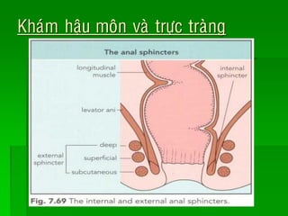 Khaùm haäu moân vaø tröïc traøng
 