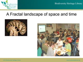 Biodiversity Heritage Library



     A Fractal landscape of space and time




2010 Biodiversity Heritage Library               www.biodiversitylibrary.org
 