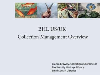 Bianca Crowley, Collections Coordinator
Biodiversity Heritage Library
Smithsonian Libraries
 