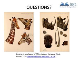 QUESTIONS?

Great and small game of Africa, London :Rowland Ward,
Limited,1899.biodiversitylibrary.org/item/114236

 