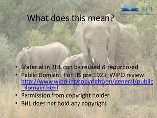 What does this mean?

• Material in BHL can be reused & repurposed
• Public Domain: For US pre 1923; WIPO review:
http://www.wipo.int/copyright/en/general/public
_domain.html
• Permission from copyright holder
• BHL does not hold any copyright

 