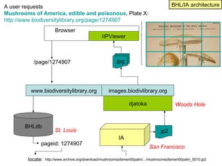 djatoka Browser  IIPViewer www.biodiversitylibrary.org .jp2 .jpg IA  /page/1274907 pageid: 1274907 BHLdb http://www.archiv...