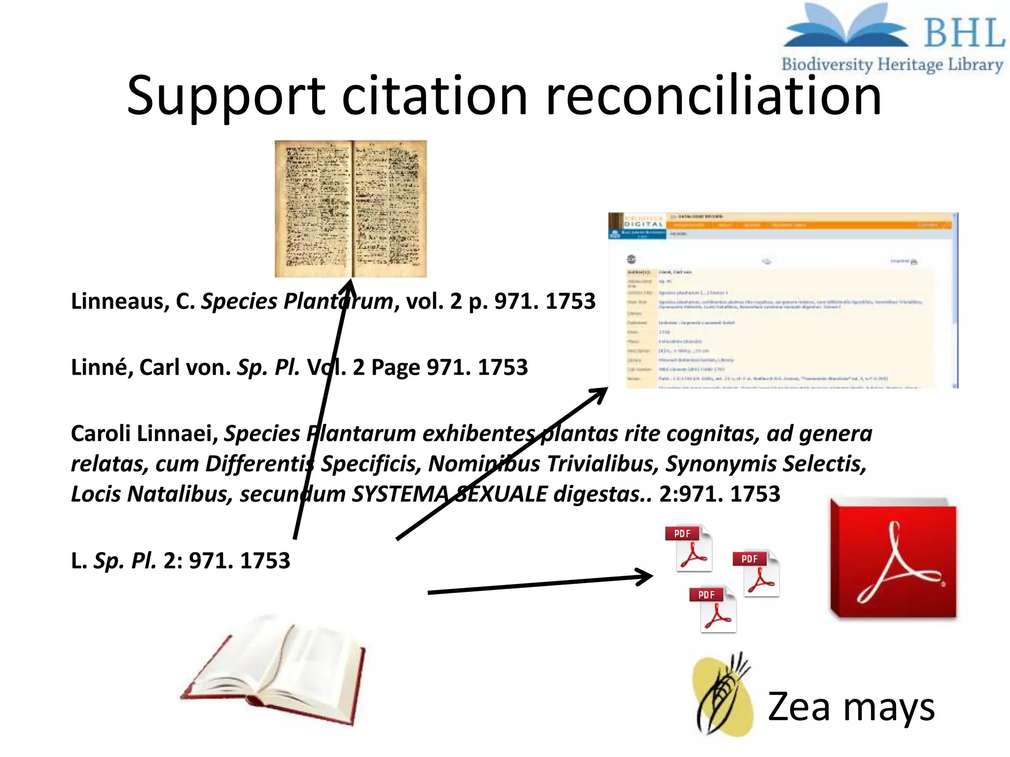 Support citation reconciliation
.
.Linneaus, C. Species Plantarum, vol. 2 p. 971. 1753
.Linné, Carl von. Sp. Pl. Vol. 2 Page 971. 1753
.
 Caroli Linnaei, Species Plantarum exhibentes plantas rite cognitas, ad genera
.relatas, cum Differentis Specificis, Nominibus Trivialibus,2:971. 1753 Selectis,
 Locis Natalibus, secundum SYSTEMA SEXUALE digestas..
                                                             Synonymis

.L. Sp. Pl. 2: 971. 1753
.

                                                                      Zea mays
 