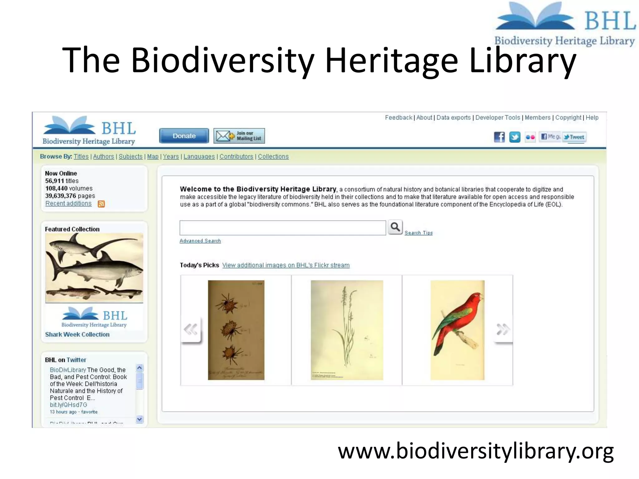 The Biodiversity Heritage Library




                 www.biodiversitylibrary.org
 